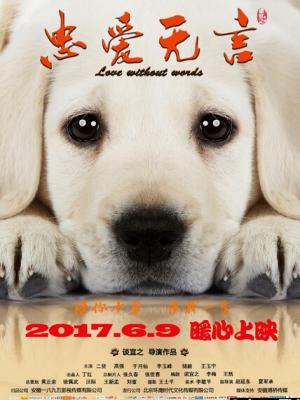 青春宇宙